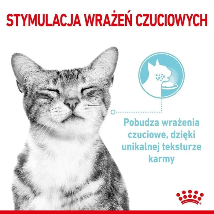 ROYAL CANIN Sensory Feel - мокра храна за котки - 12 x 85