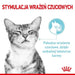 ROYAL CANIN Sensory Feel - мокра храна за котки - 12 x 85