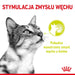 ROYAL CANIN Sensory Smell - мокра храна за котки - 12x85