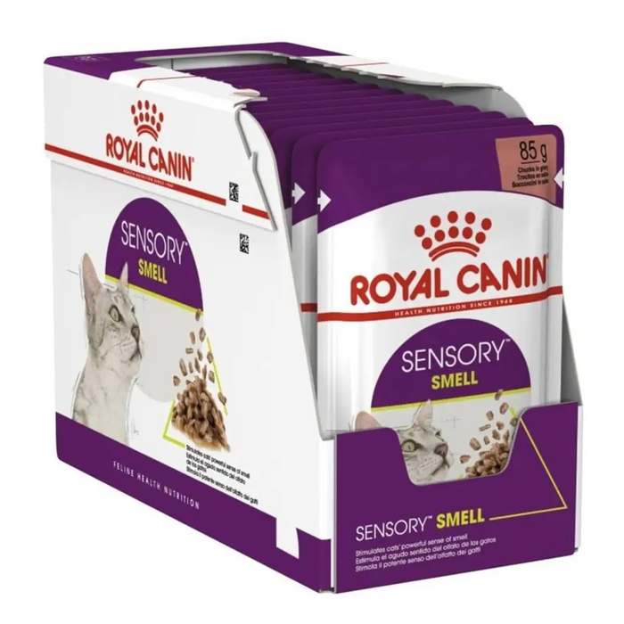 ROYAL CANIN Sensory Smell - мокра храна за котки - 12x85