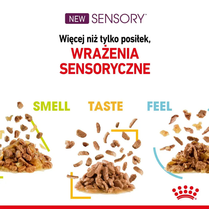 ROYAL CANIN Sensory Smell - мокра храна за котки - 12x85