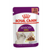 ROYAL CANIN Sensory Smell - мокра храна за котки - 12x85