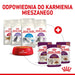 ROYAL CANIN Sensory Smell - мокра храна за котки - 12x85