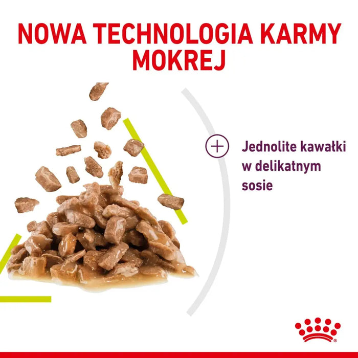 ROYAL CANIN Sensory Smell - мокра храна за котки - 12x85