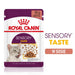 ROYAL CANIN Sensory Taste - мокра храна за котки - 12x85
