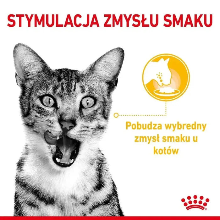 ROYAL CANIN Sensory Taste - мокра храна за котки - 12x85