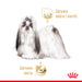 ROYAL CANIN Shih Tzu Adult Мокра храна за кучета Pâté 12x85