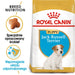 Royal Canin SHN Breed Jack Russell Junior - Суха храна