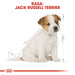 Royal Canin SHN Breed Jack Russell Junior - Суха храна