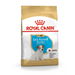 Royal Canin SHN Breed Jack Russell Junior - Суха храна