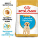 ROYAL CANIN SHN Breed Labrador Junior суха храна за кучета