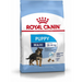 Royal Canin SHN Maxi Puppy - суха храна за кученца - 4 кг