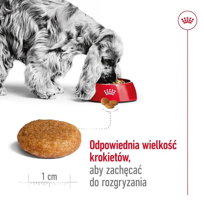 ROYAL CANIN SHN Medium Adult - суха храна за кучета - 15 кг