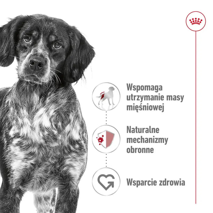 ROYAL CANIN SHN Medium Adult - суха храна за кучета - 15 кг