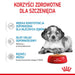 ROYAL CANIN SHN Medium Puppy in sauce - мокра храна
