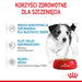 ROYAL CANIN SHN Mini Puppy in sauce - мокра храна