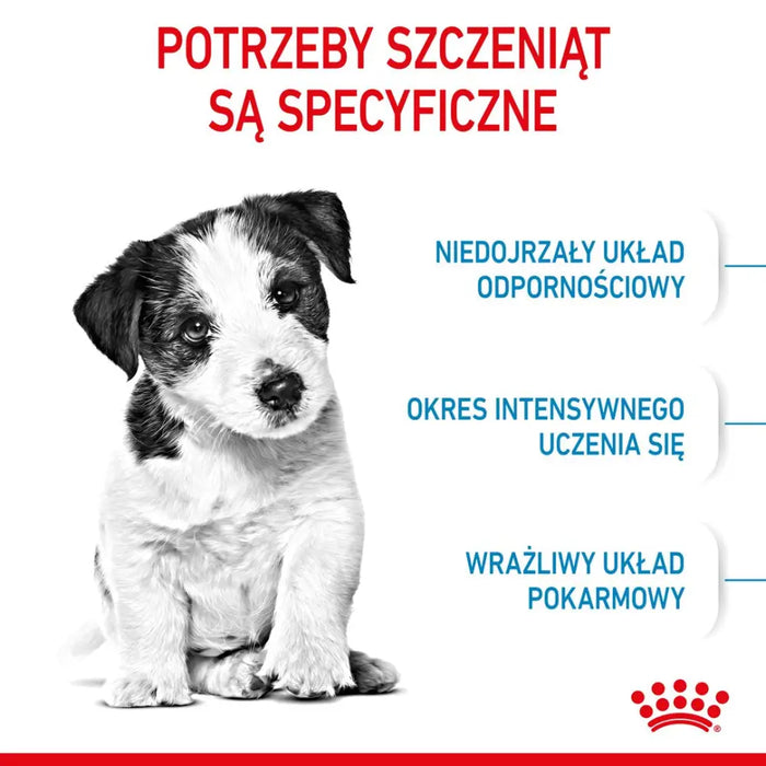 Royal Canin SHN Mini Puppy - суха храна за кученца - 4 кг