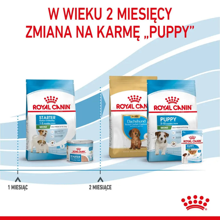 ROYAL CANIN SHN Mini Starter Mother & Babydog - суха храна