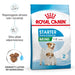 ROYAL CANIN SHN Mini Starter Mother & Babydog - суха храна