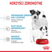 ROYAL CANIN SHN Mini Starter Mother & Babydog - суха храна