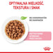 Royal Canin Sterilized Gravy 12x85g