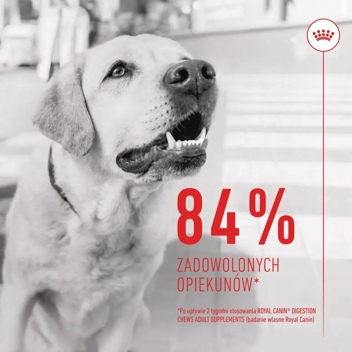 ROYAL CANIN Supplements Dog Digestion Adult - кучешки