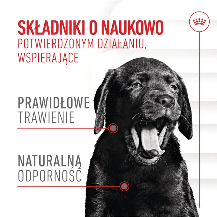 ROYAL CANIN Supplements Dog Immunity & Digest Puppy