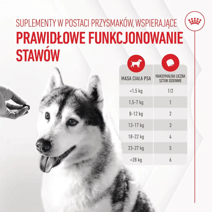 ROYAL CANIN Supplements Dog Joint & Aging Adult - кучешки