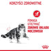 Royal Canin Urinary Care суха храна за котки 10 кг
