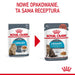 ROYAL CANIN Urinary Care в сос 12x85гр