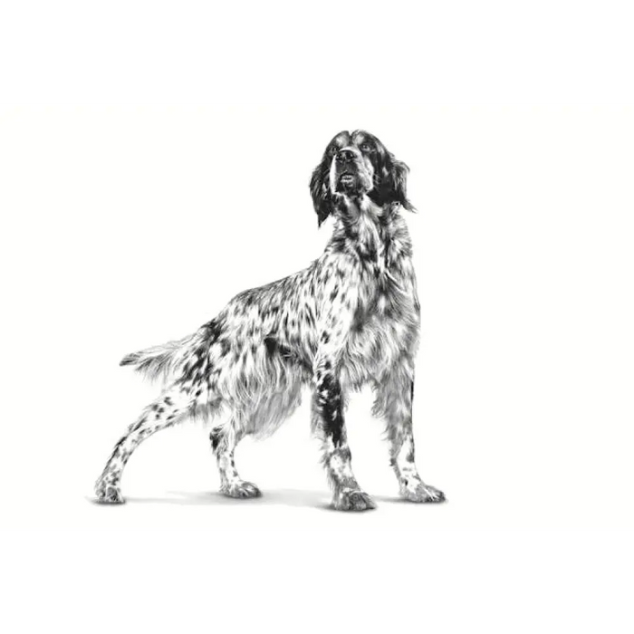 ROYAL CANIN Veterinary Renal суха храна за кучета - 2кг