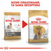 ROYAL CANIN Йоркширски териер 0,5кг