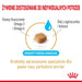 Royal Canin Yorkshire Ageing 8 + - суха храна