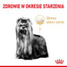 Royal Canin Yorkshire Ageing 8 + - суха храна