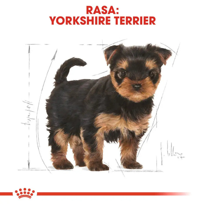 ROYAL CANIN Yorkshire Terrier Puppy - суха храна за кучета