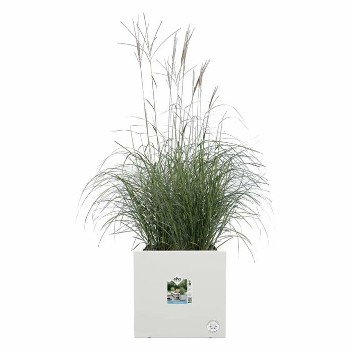 Саксия Elho 29,5 x 29,5 x 49,5 cm Бял Пластмаса Квадратек