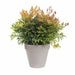 Саксия Elho Loft Urban Кръгъл Сив Ø 40 cm