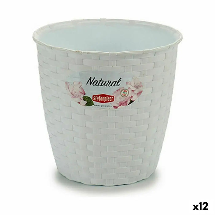 Саксия Stefanplast Бял Пластмаса 14 x 13 x 14 cm (12 броя)