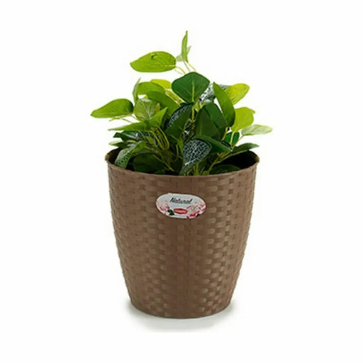 Саксия Stefanplast Кафяв Пластмаса 24 x 22,5 x 24 cm (6