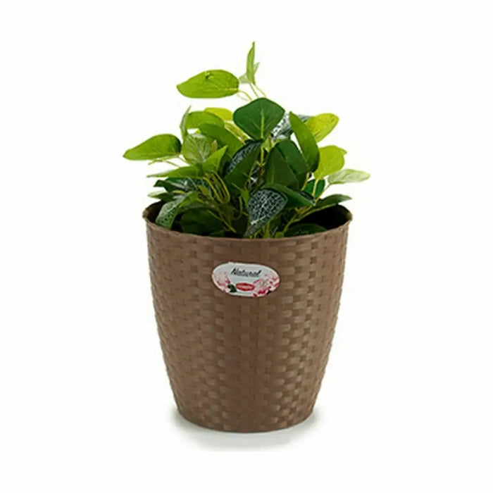 Саксия Stefanplast Кафяв Пластмаса 24 x 22,5 x 24 cm (6