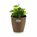 Саксия Stefanplast Кафяв Пластмаса 24 x 22,5 x 24 cm (6