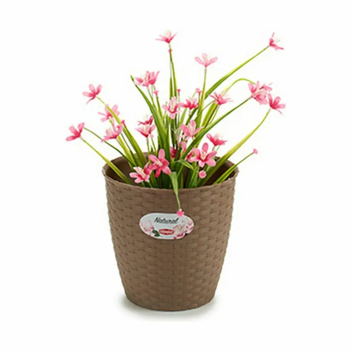 Саксия Stefanplast Кафяв Пластмаса 19 x 17,5 x 19 cm (12
