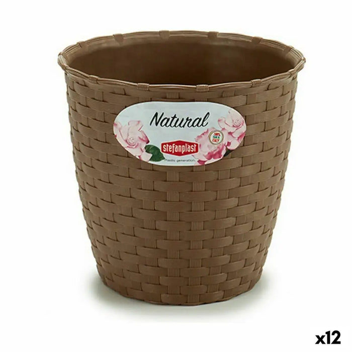 Саксия Stefanplast Кафяв Пластмаса 14 x 13 x 14 cm (12 броя)