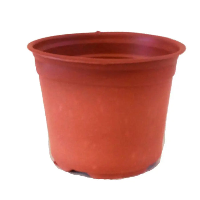 САКСИЯ ЗА РАЗСАД 9.5X12CM