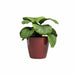 Саксия Artevasi SAN REMO Ø 42 cm Червен (2 Части)