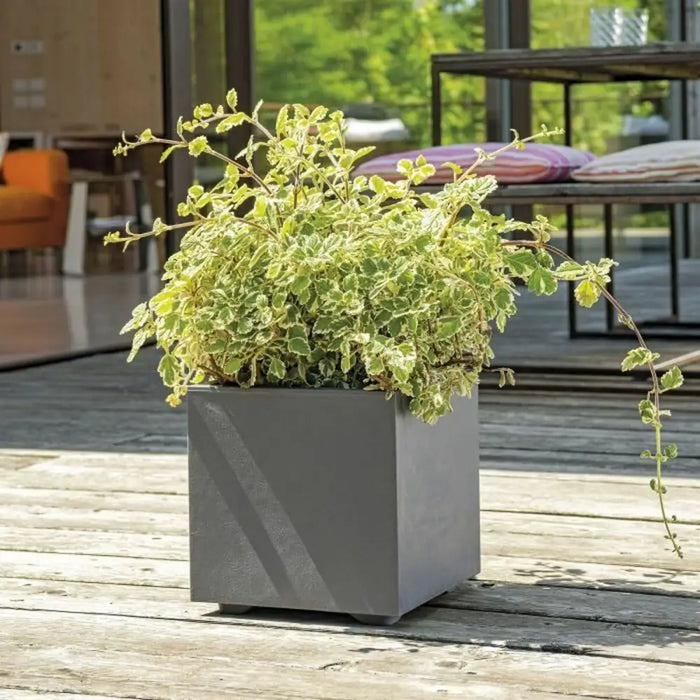 Саксия Deroma Антрацит 25 cm Пластмаса Квадратек Кубче Ø 25