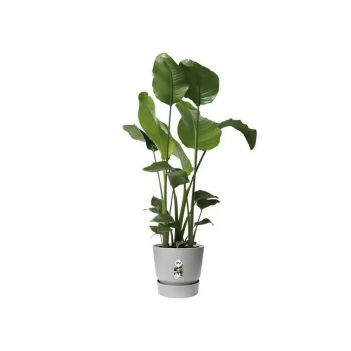 Саксия Elho Greenville Ø 24,48 cm Пластмаса
