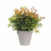 Саксия Elho Loft Urban Сив Кръгъл Ø 50 cm