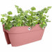 Саксия Elho Vibia Campana Flower Bridge 60 Rose 26 x 59 x