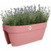 Саксия Elho Vibia Campana Flower Bridge 60 Rose 26 x 59 x